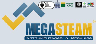 MEGASTEAM